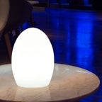 RGB ABS eivormige LED decoratieve tafellamp