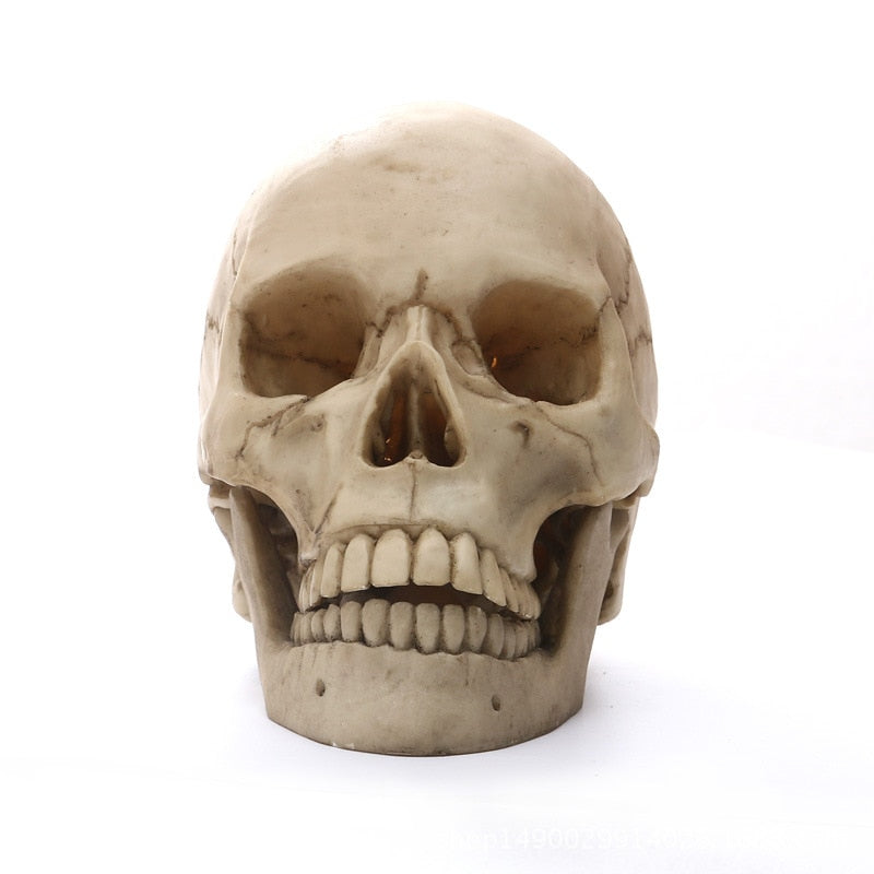 1:1 Menselijk Hoofd Schedel Standbeeld voor Huisdecoratie Hars Figuren Halloween Decoratie Sculptuur Medische Onderwijs Schetsmodel Ambacht