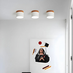 Vintage LED plafondlamp