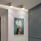 Vintage LED plafondlamp