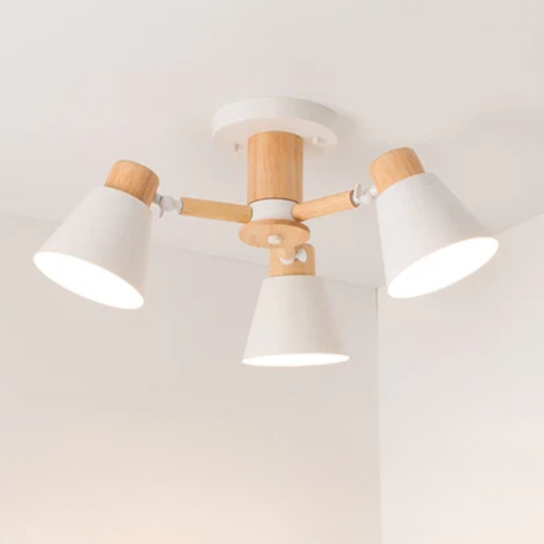 LED Plafondlamp
