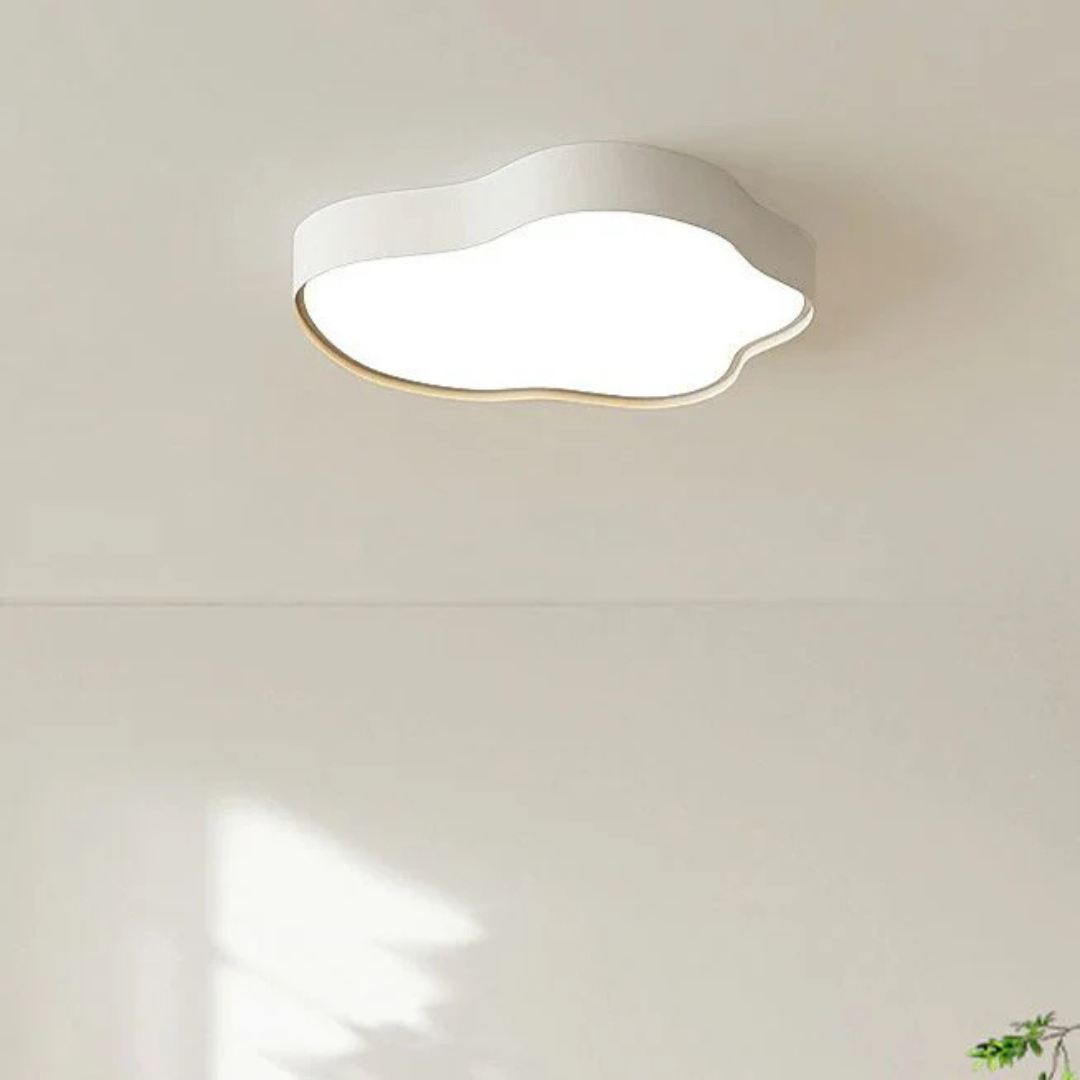 Stijlvolle LED plafondlamp