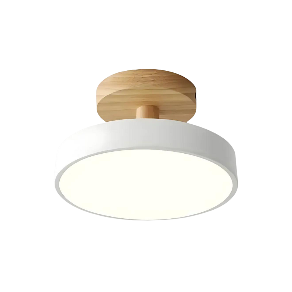 Compact moderne LED plafondlamp