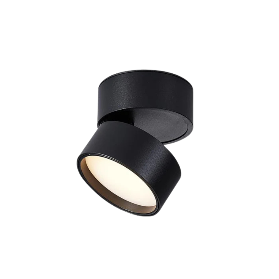 Verstelbare LED Plafondlamp
