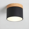Vintage LED plafondlamp