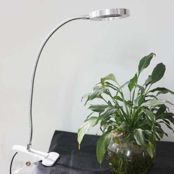 Kreatieve eenvoudige USB-broekknop LED-leesclip-bureau lamp