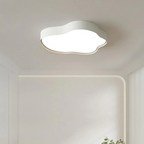 Stijlvolle LED plafondlamp