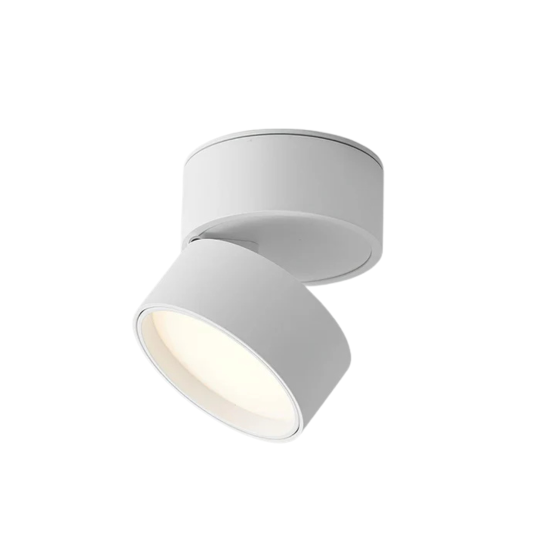 Verstelbare LED Plafondlamp