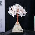 Natuursteen Grind Piramide Basis Feng Shui Boom