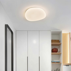 Stijlvolle LED plafondlamp