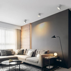 Verstelbare LED Plafondlamp