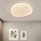 Stijlvolle LED plafondlamp