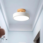 Compact moderne LED plafondlamp