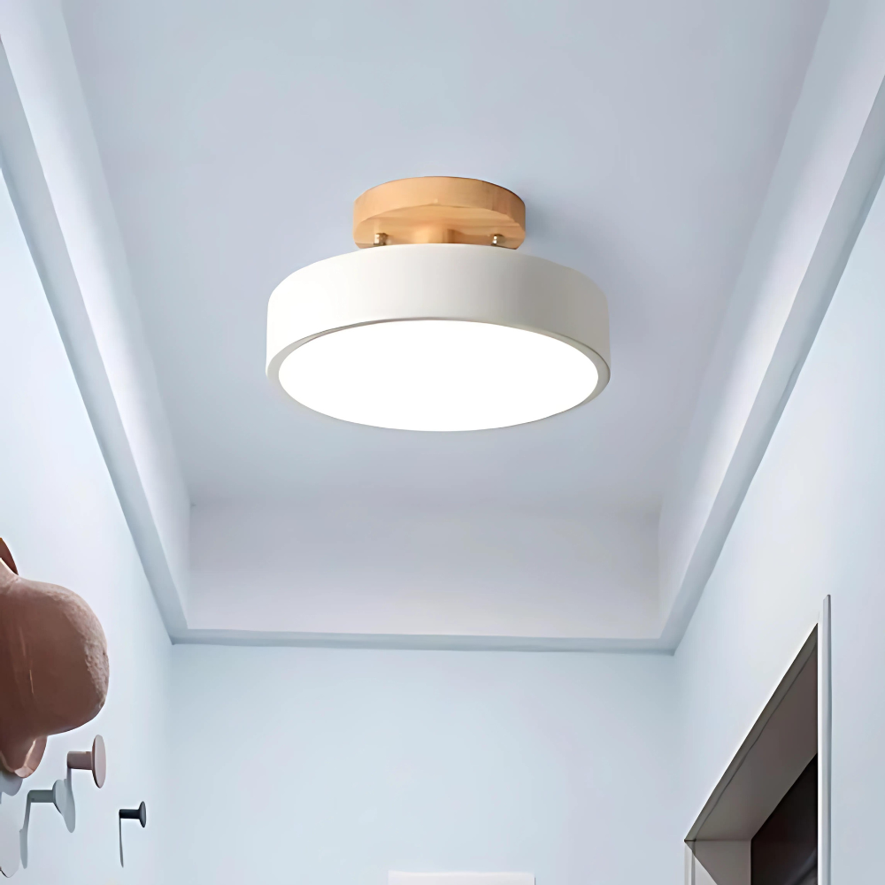 Compact moderne LED plafondlamp