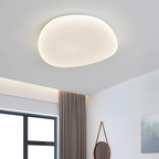 Stijlvolle LED plafondlamp