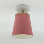 Stijlvolle Macaron Plafondlamp