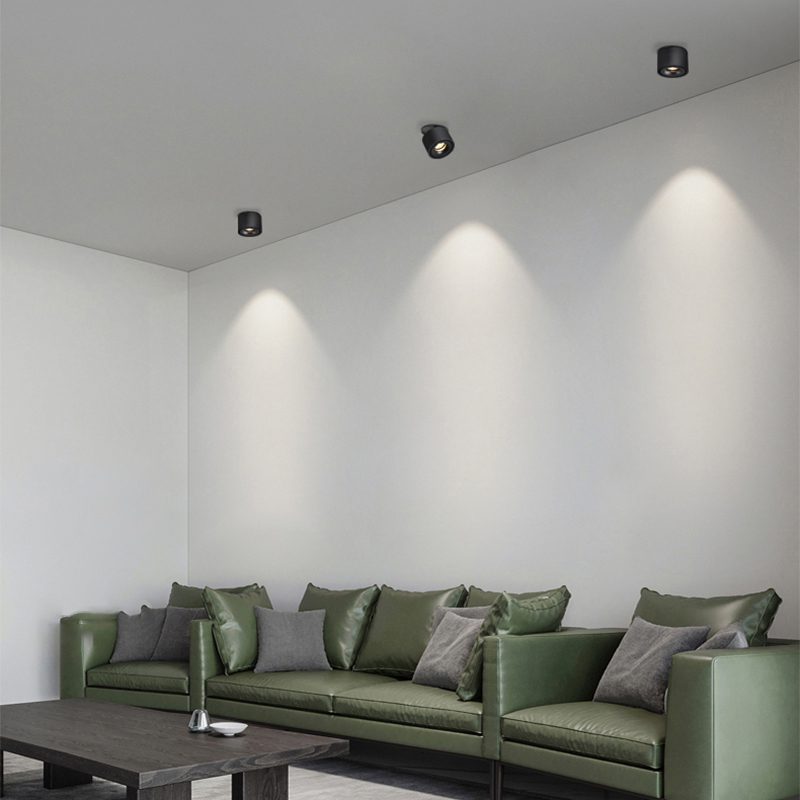 Verstelbare Cilinder Ingebouwde LED Plafondlamp