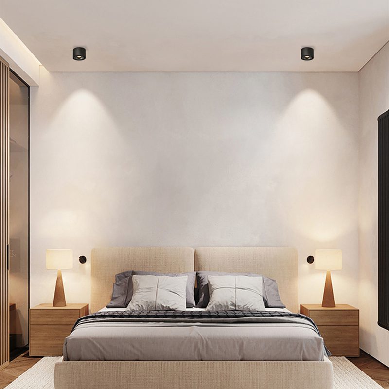 Verstelbare Cilinder Ingebouwde LED Plafondlamp