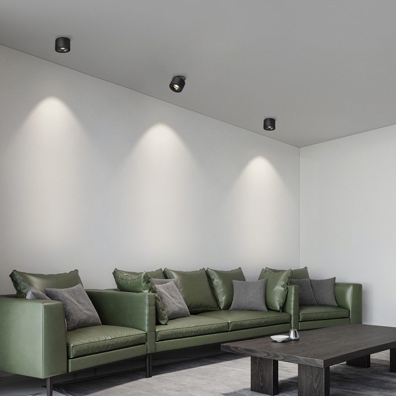 Verstelbare Cilinder Ingebouwde LED Plafondlamp