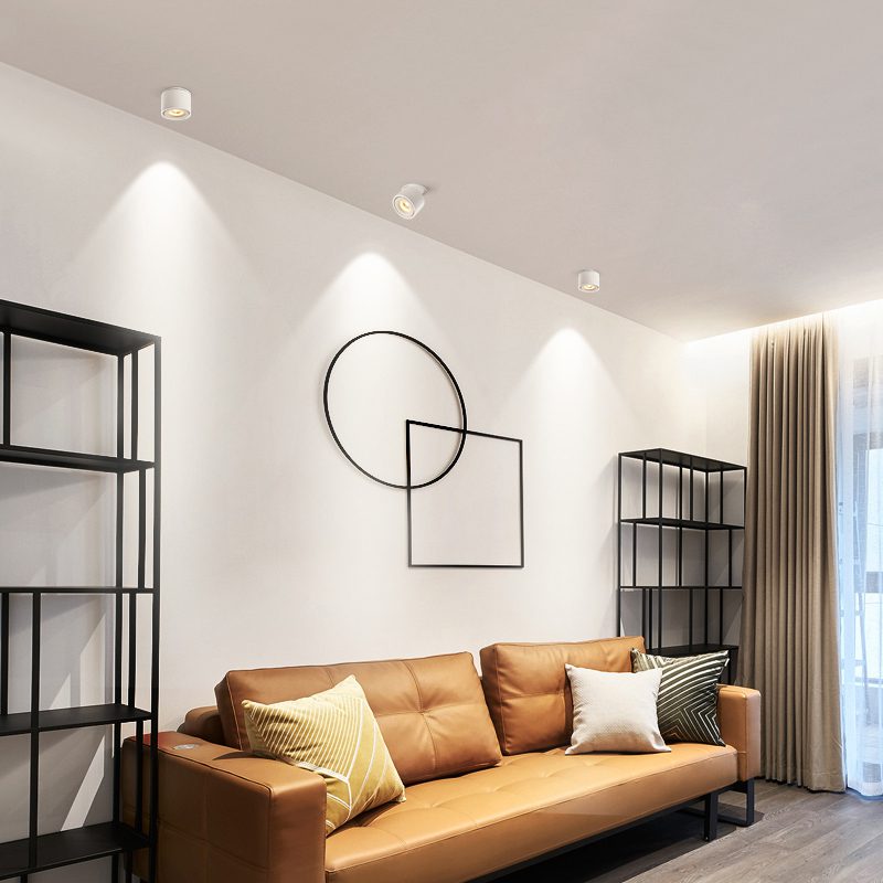 Verstelbare Cilinder Ingebouwde LED Plafondlamp