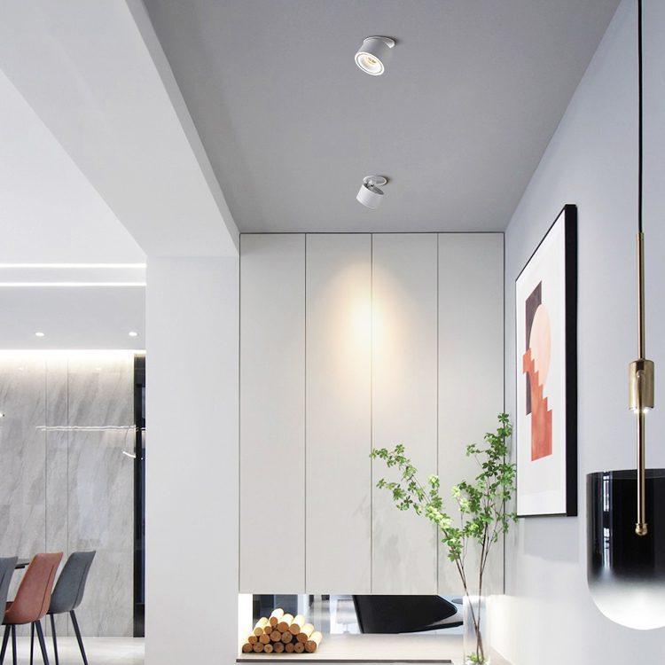 Verstelbare Cilinder Ingebouwde LED Plafondlamp