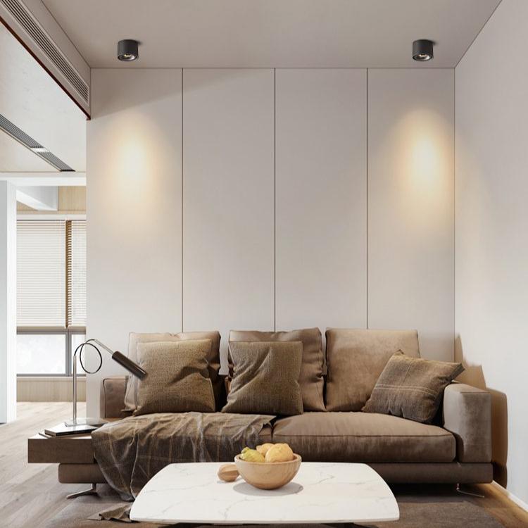 Verstelbare Cilinder Ingebouwde LED Plafondlamp