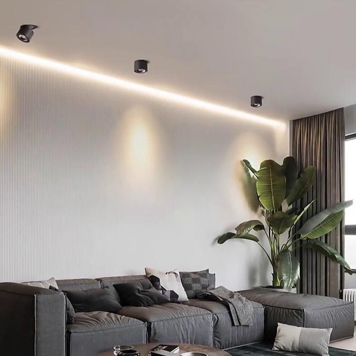 Verstelbare Cilinder Ingebouwde LED Plafondlamp