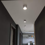 Verstelbare Cilinder Ingebouwde LED Plafondlamp