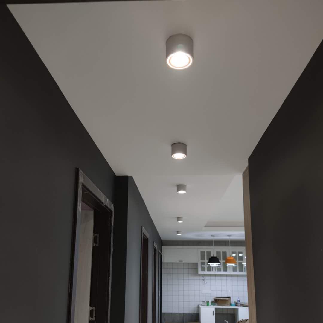 Verstelbare Cilinder Ingebouwde LED Plafondlamp