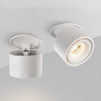 Verstelbare Cilinder Ingebouwde LED Plafondlamp