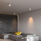 Verstelbare Cilinder Ingebouwde LED Plafondlamp