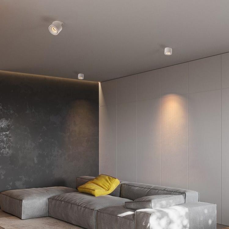 Verstelbare Cilinder Ingebouwde LED Plafondlamp