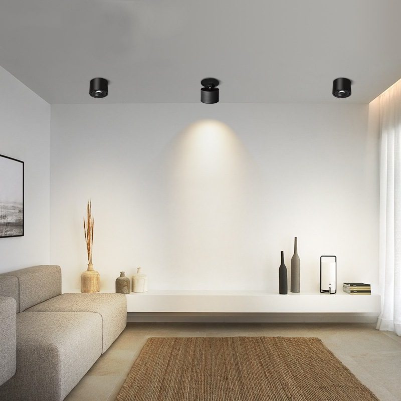 Verstelbare Cilinder Ingebouwde LED Plafondlamp