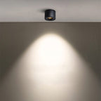 Verstelbare Cilinder Ingebouwde LED Plafondlamp