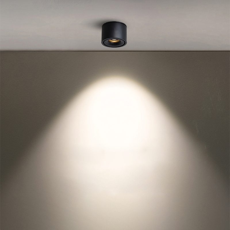 Verstelbare Cilinder Ingebouwde LED Plafondlamp