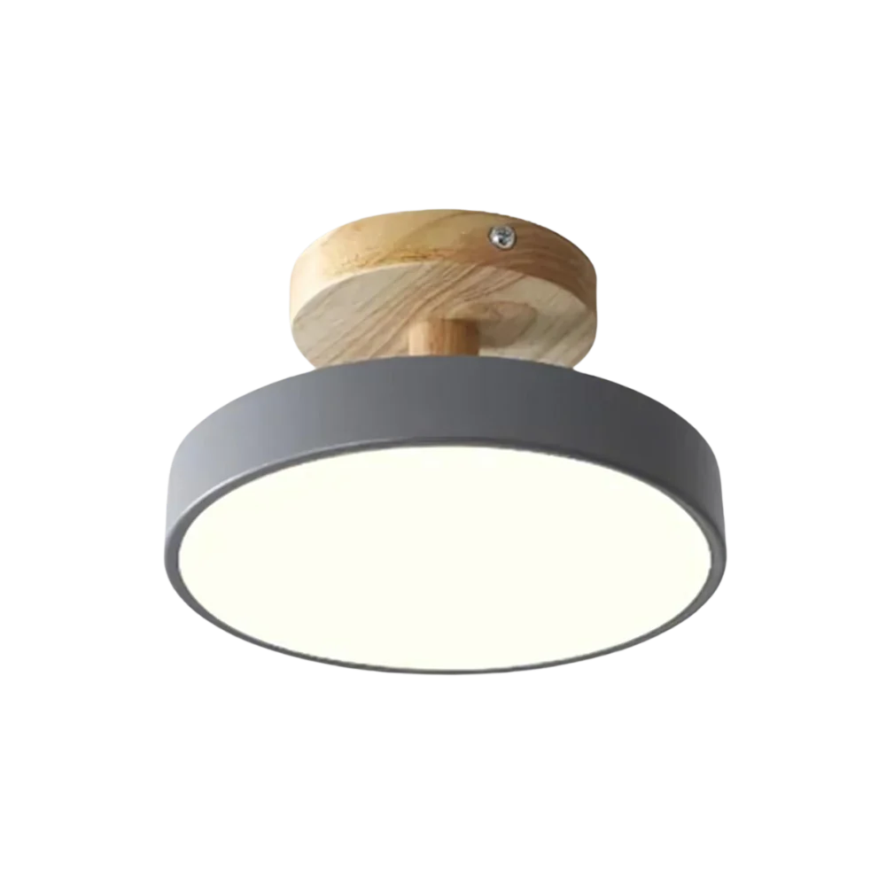 Compact moderne LED plafondlamp