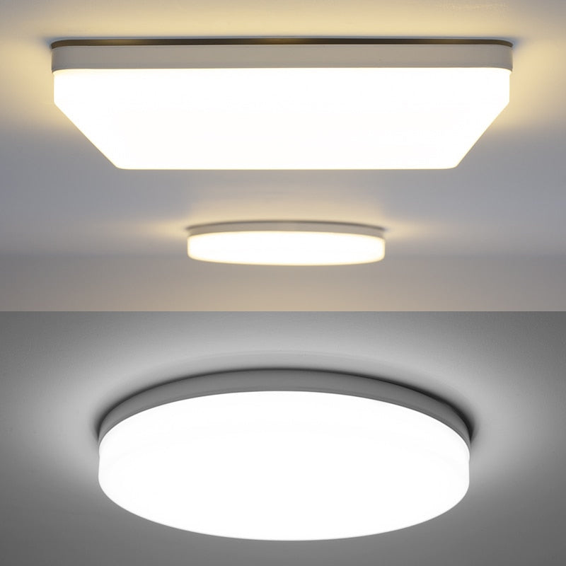 Natuurlijke Ruimte Slanke LED Plafondlamp
