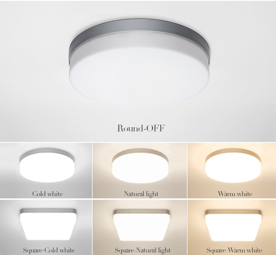 Natuurlijke Ruimte Slanke LED Plafondlamp