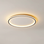 Moderne plafondlamp - kamerlicht