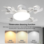 Sky Light LED Plafondventilator Licht