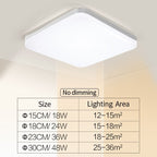 Natuurlijke Ruimte Slanke LED Plafondlamp