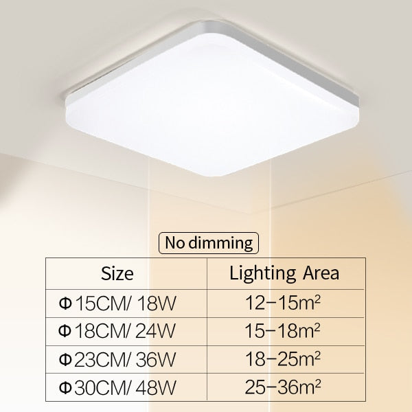 Natuurlijke Ruimte Slanke LED Plafondlamp