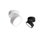 Verstelbare LED Plafondlamp