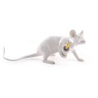 Moderne LED Tier Tafellampen: Harz Rat, Kat en Eekhoorn Nachtlampen