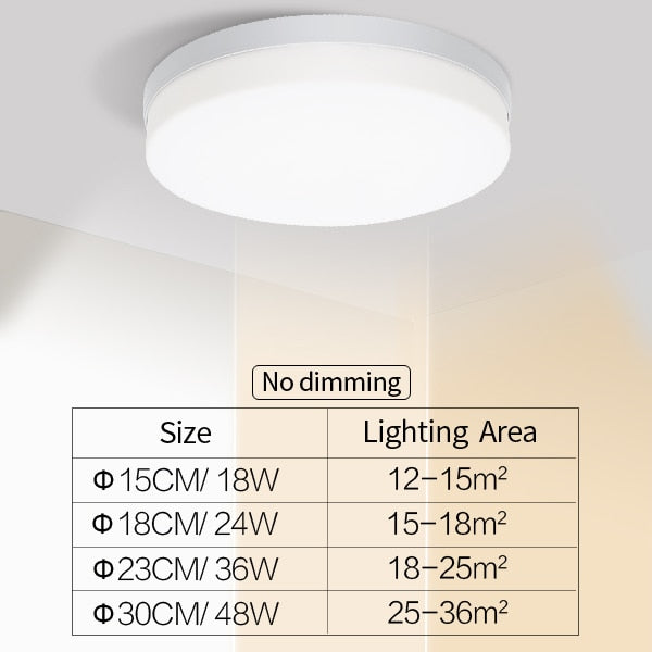 Natuurlijke Ruimte Slanke LED Plafondlamp