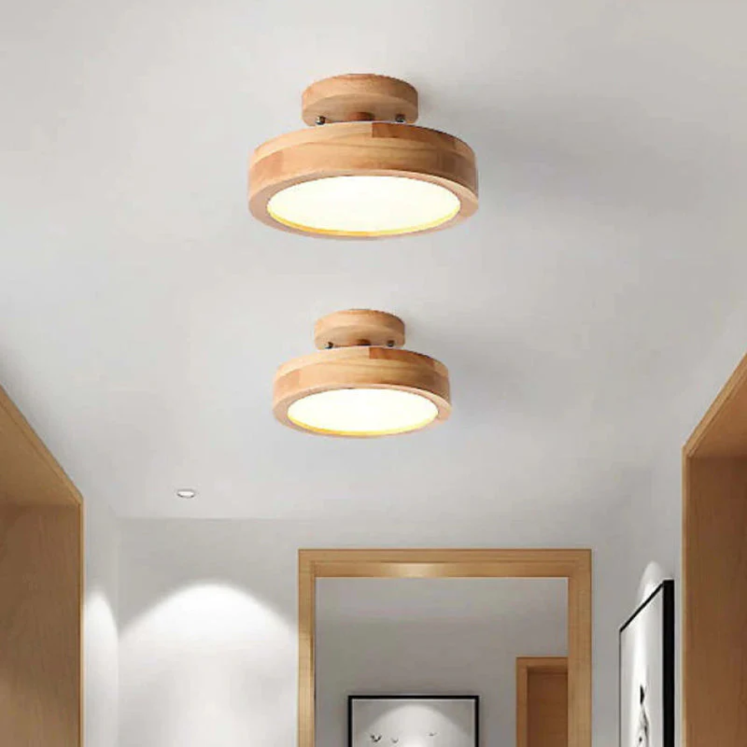 Stijlvolle moderne LED plafondlamp Avosian