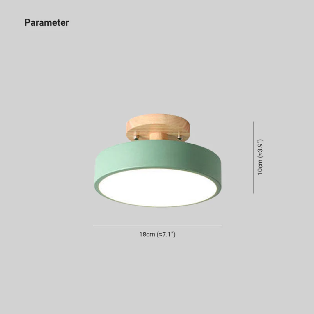 Stijlvolle moderne LED plafondlamp Avosian