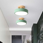 Stijlvolle moderne LED plafondlamp Avosian