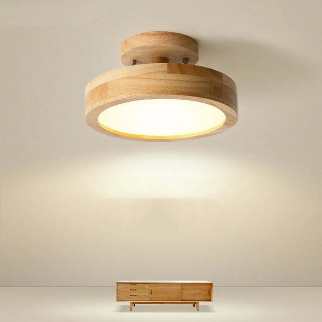 Stijlvolle moderne LED plafondlamp Avosian