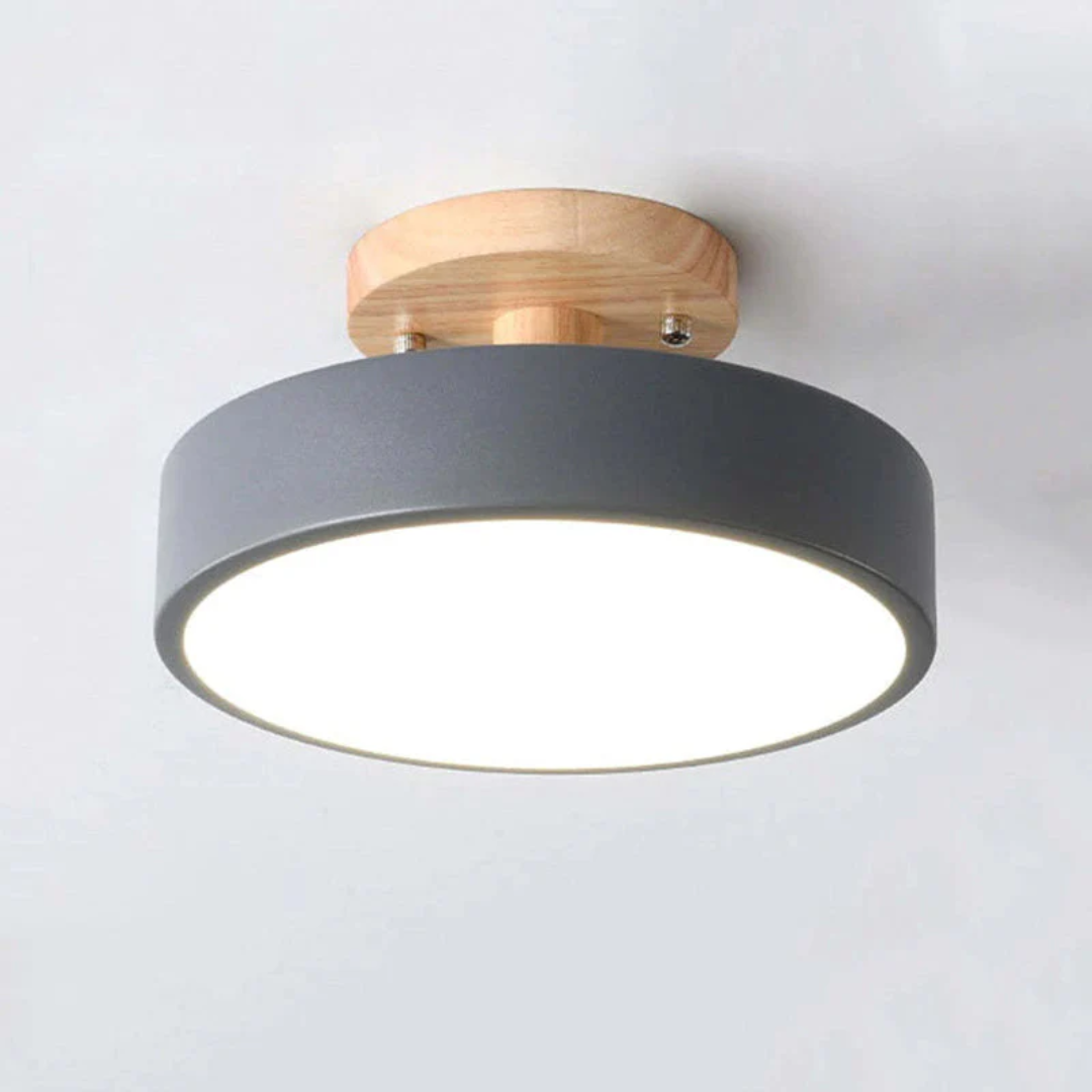 Stijlvolle moderne LED plafondlamp Avosian